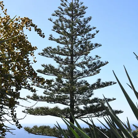 Do Campo Hotel 4*