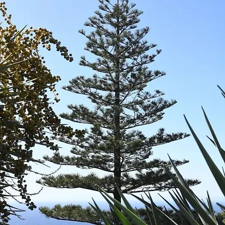 Do Campo Hotel