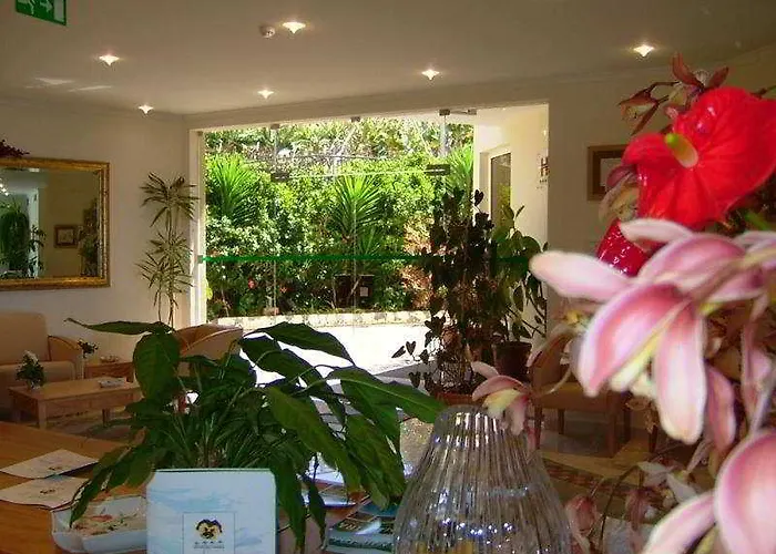 Do Campo Hotel Ribeira Brava